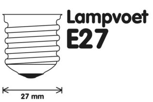 22445-2.jpg