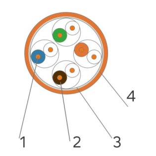 49269-2.jpg