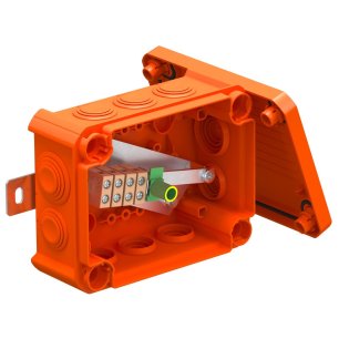 7205740.jpg