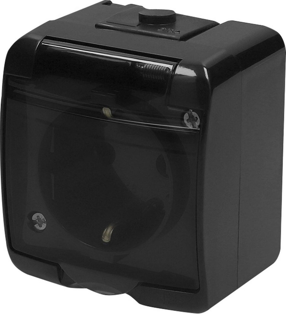 Фото Розетка 1-на з з/к Schuko RHE-1sd-BL (чорн./прозора кришка, IP54)